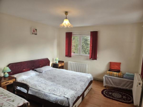 Apartament Retro-relax Sinaia